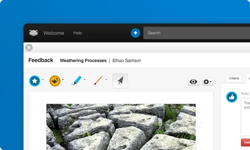 SA_Tools-Feedbacks.png