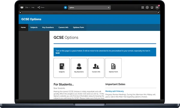 Template-Screen-Options-A.png